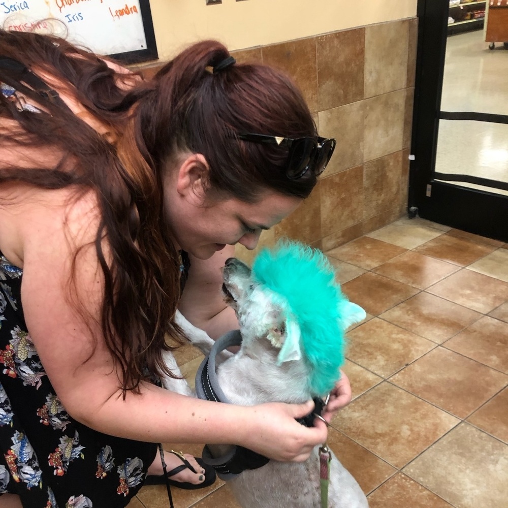 Meet your Posher, Tiffani